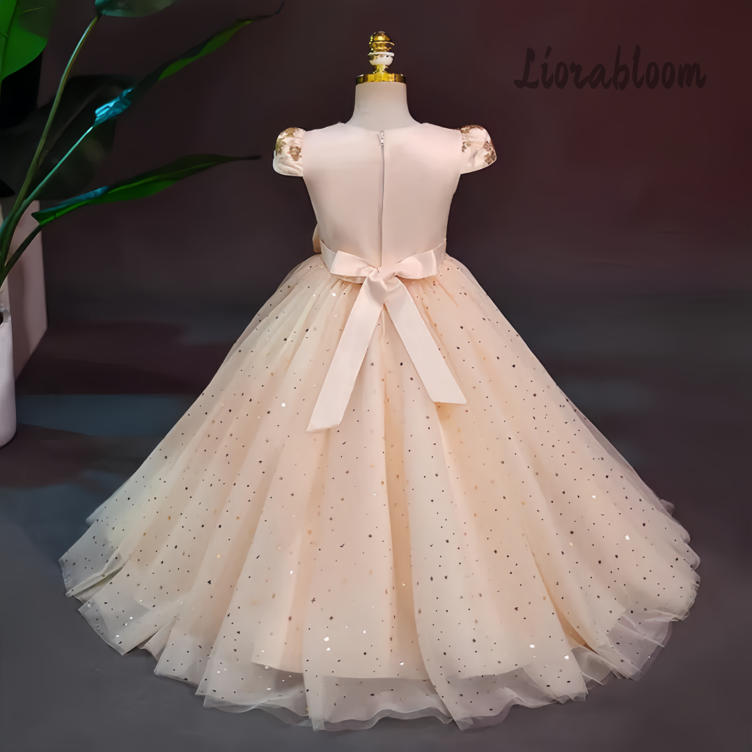 Formal Multicolor Evening Gown - Formal Wear Gowns For Women บทวิจารณ์และราคา