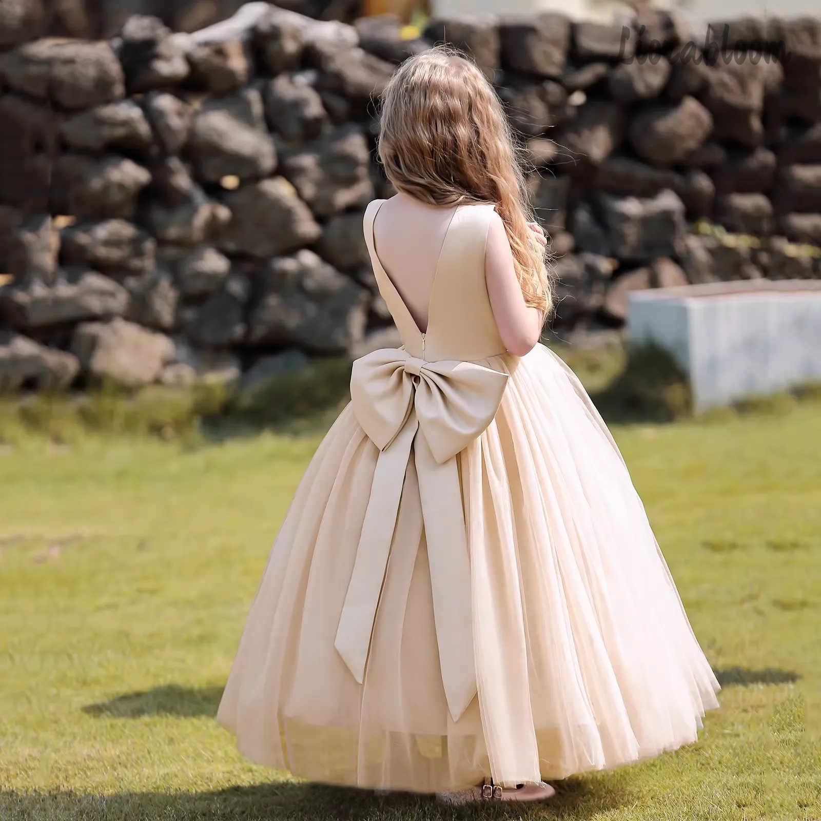 Multicolor Backless Princess D - Formal Wear Gowns For Women บทวิจารณ์และราคา